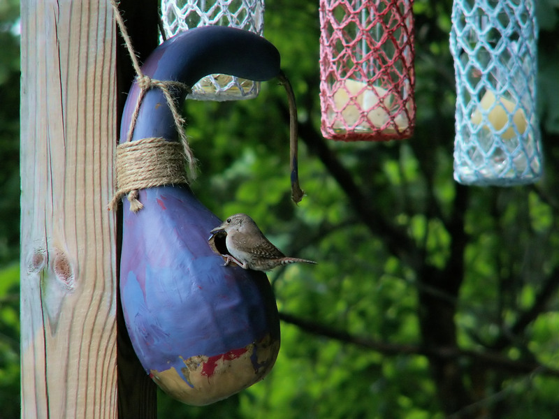 Unique Upcycling Crafts That Breathe New Life into Throwaway Objects